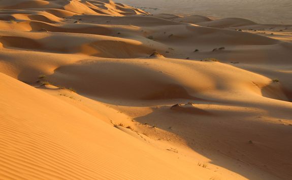 Sand dunes in the empty quarter
