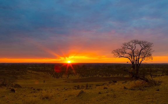 Luangwa Sunset