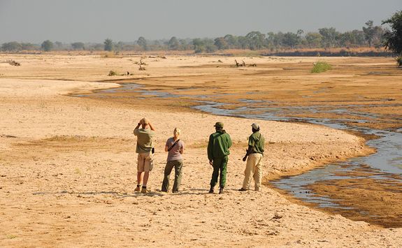 Walking safari