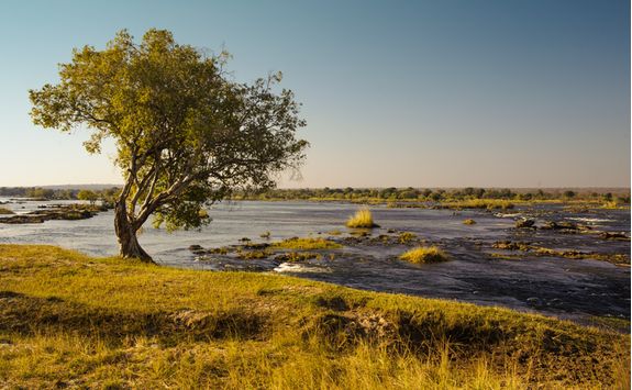 Lower Zambezi river