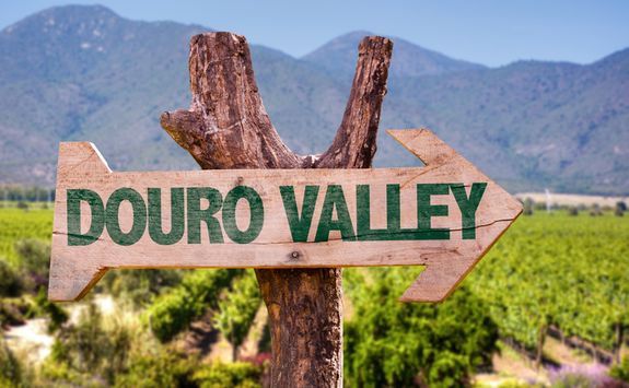 vineyard sign