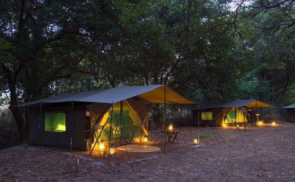 Camp site in the bush