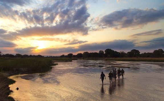 Walking safari at sunset