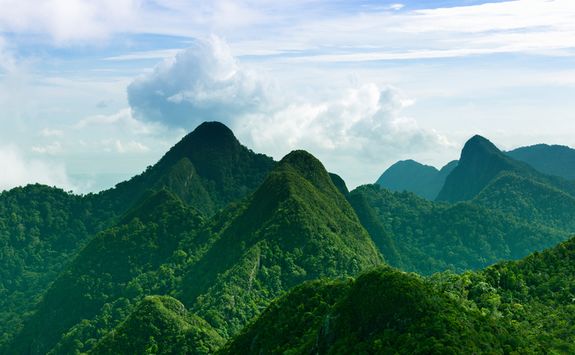 Mountains in the rainforest