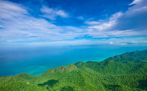 Sea view over the rainforest