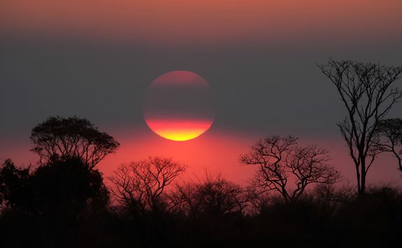 An African Sunset