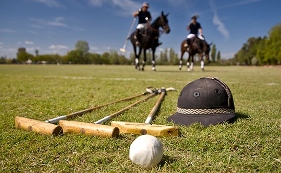 polo playing