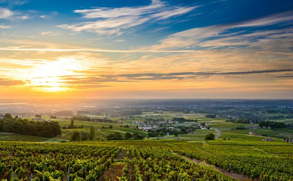 Rhone Valley