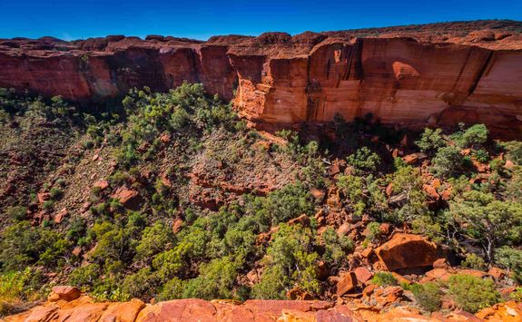Australian Outback