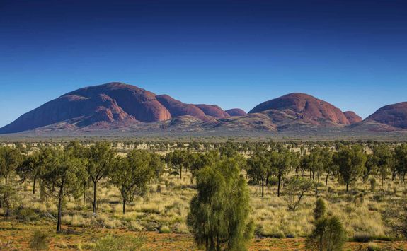 Uluru landscape