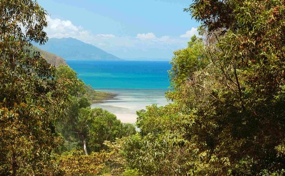 Daintree coast