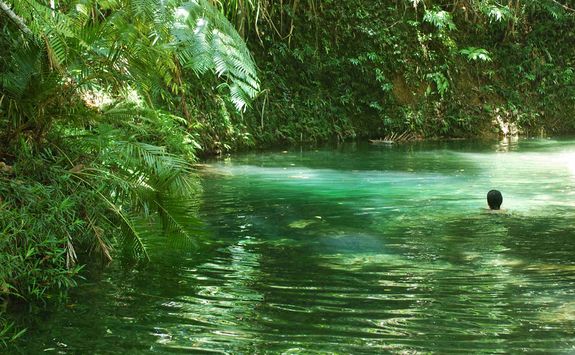 Swimming in Daintree National Park