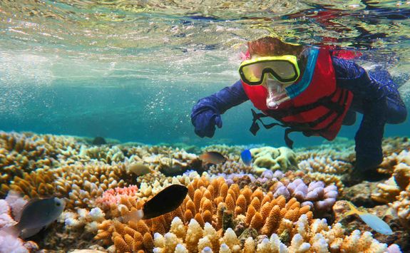 Child snorkelling in the Great Barrier Reef