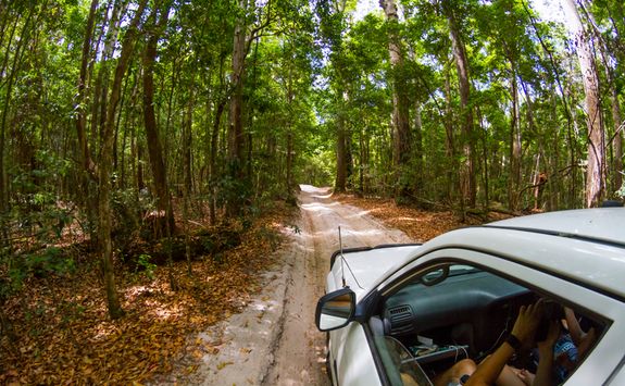 Four wheel driving