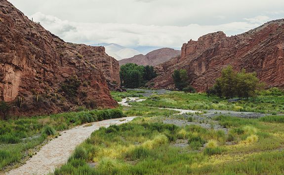 Calchaqui river canyon