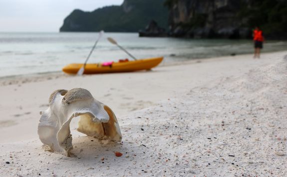 Kayak on the beach