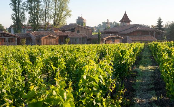 Vineyard at Les Sources de Caudalie