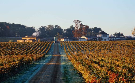 Les Sources de Caudalie vineyard in autumn