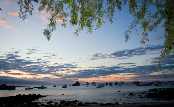 Galapagos sunset