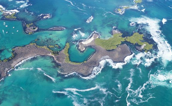 Tintoreras Islet