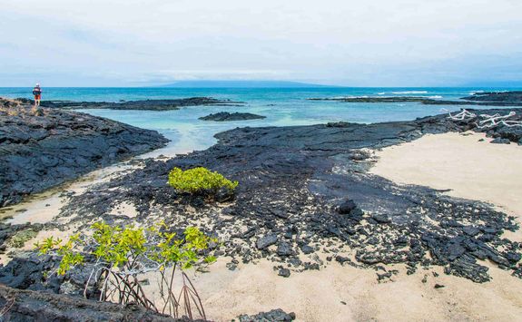 Moreno Point, Isabela Island