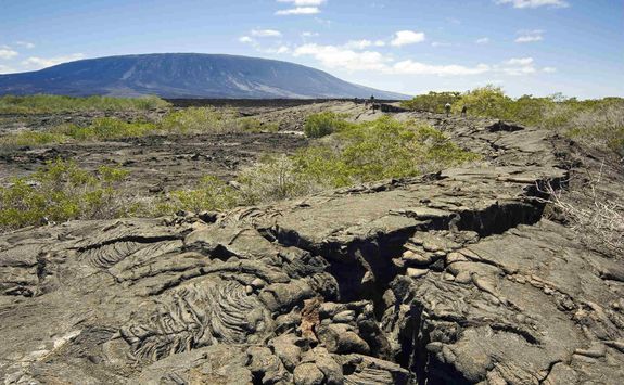 Volcanic Fernandina Island