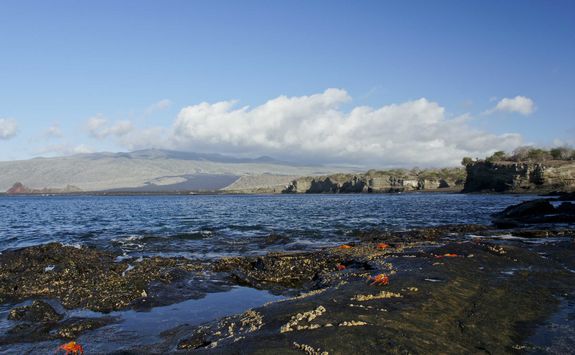 Black beach, Egas Port