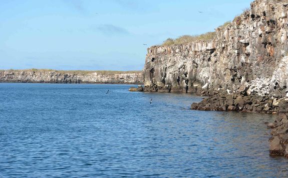 Genovesa Island