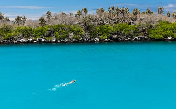 snorkelling in santa fe