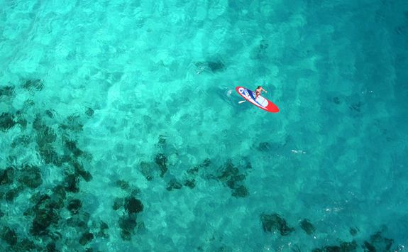 Paddleboarder