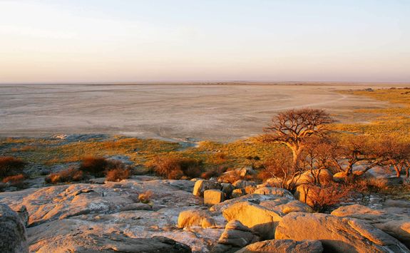 View across the desert
