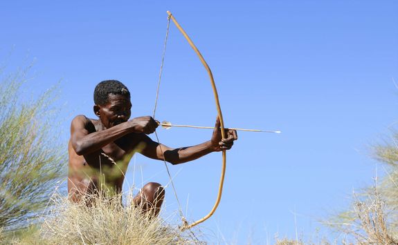 Bushman hunting