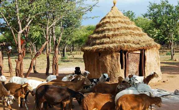 Kalahari village