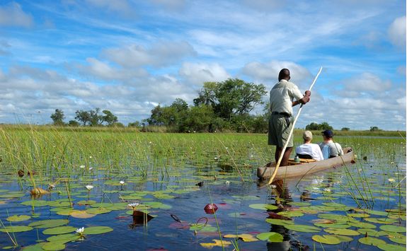 Mokoro canoeing in the Delta
