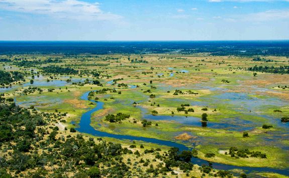 View across the Okavango Delta