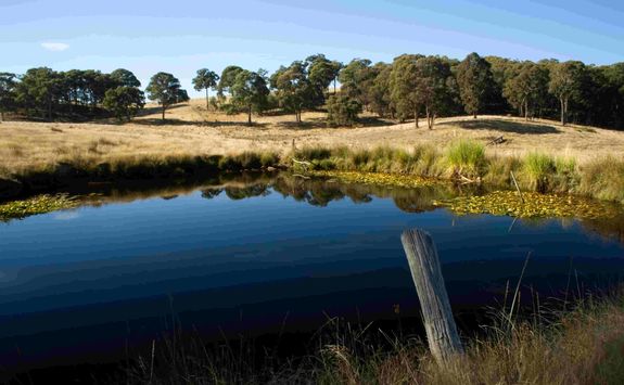 Daylesford