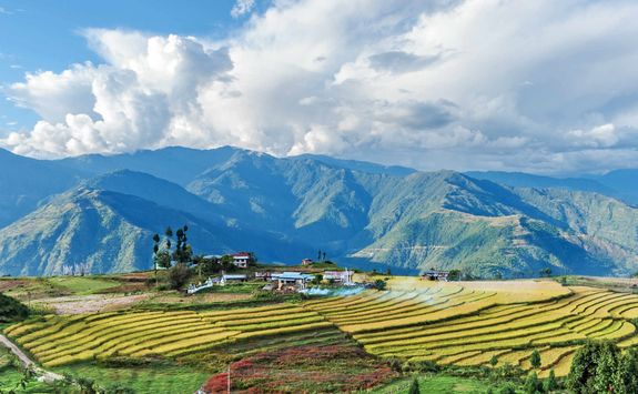 Punakha valley
