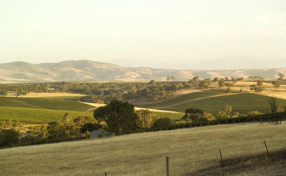 The Louise, Barossa Valley