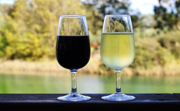 Glasses of wine