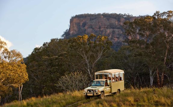 Wolgan Valley wildlife safari