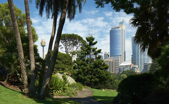 Sydney botanical garden