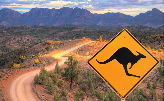 Kangaroo Sign
