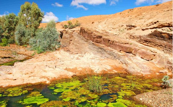 Flinders Range Gorge