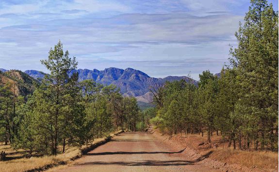 Flinders Ranges Road