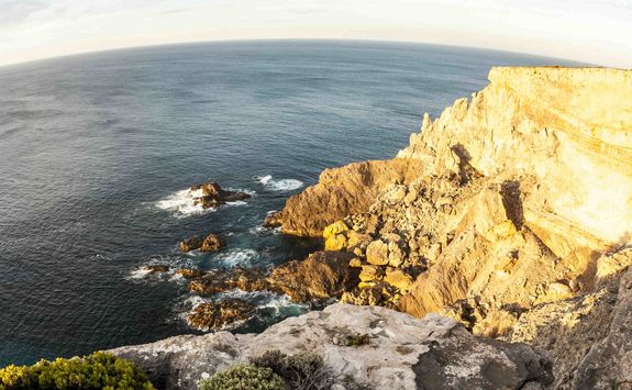 Flinders Chase Coast