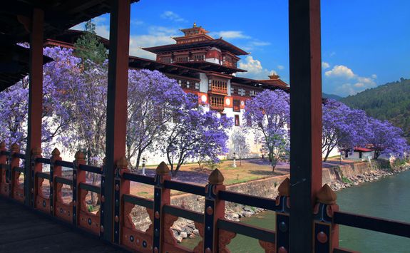 Inside Punakha Dzong