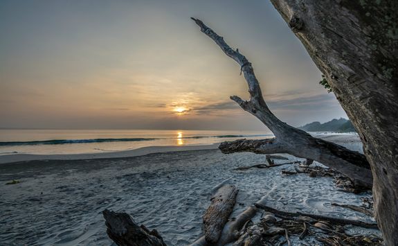Sunset from a Beach