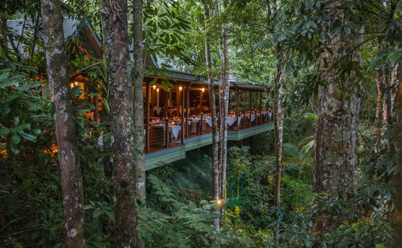 treehouse-restaurant