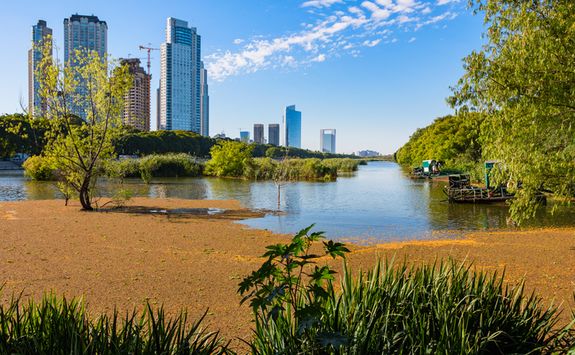 puerto madero ecological reserve