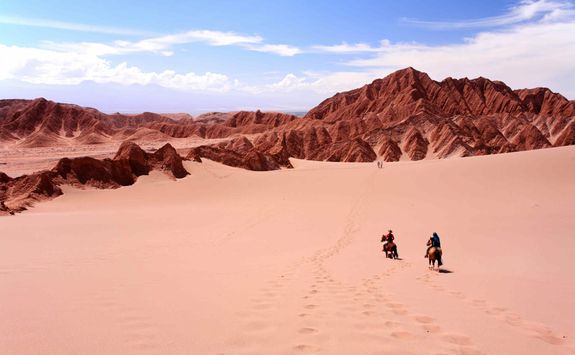 Horse riding in the Atacama
